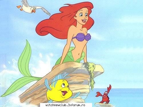 regulament ariel